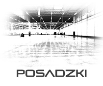 Posadzki Posadzki